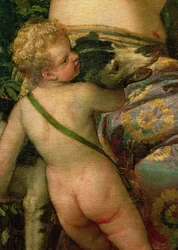 Cupid, detail from Venus and Adonis (detail)